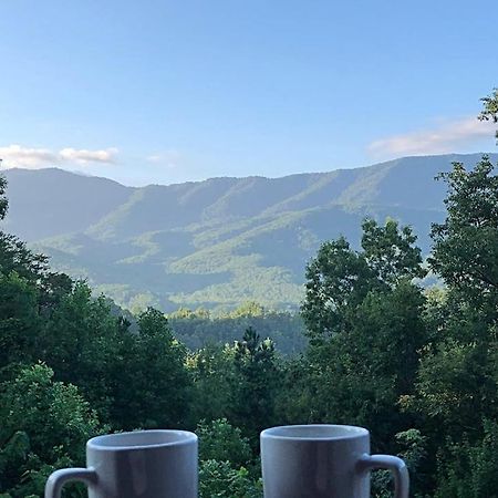 Tennessee Roots By Stony Brook Cabins Gatlinburg Esterno foto